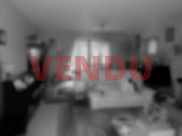 vente maison faches thumesnil