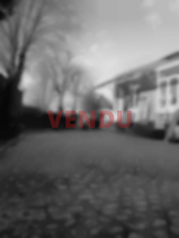 vente maison illies