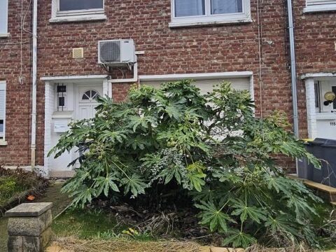 a6e57cab 74c2 48b6 8c9e 7182c69db2ba