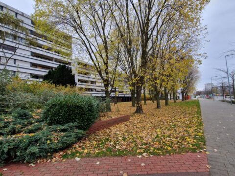 8cdb927a fa5f 4a5d b17d e666f11321cb